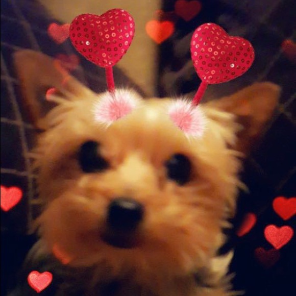 Meet your Posher, Jessica - Picture 5 of 5